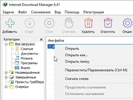 Internet Download Manager 6.41.10 Final + Ключ