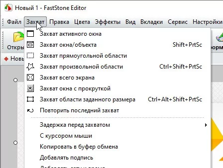 FastStone Capture 9.9 + ключ (на русском)